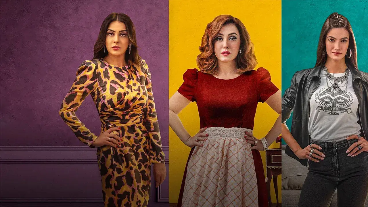 ستات بيت المعادي