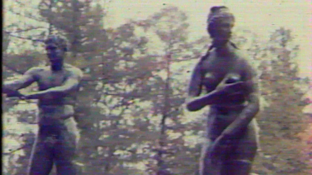 Метаморфоза