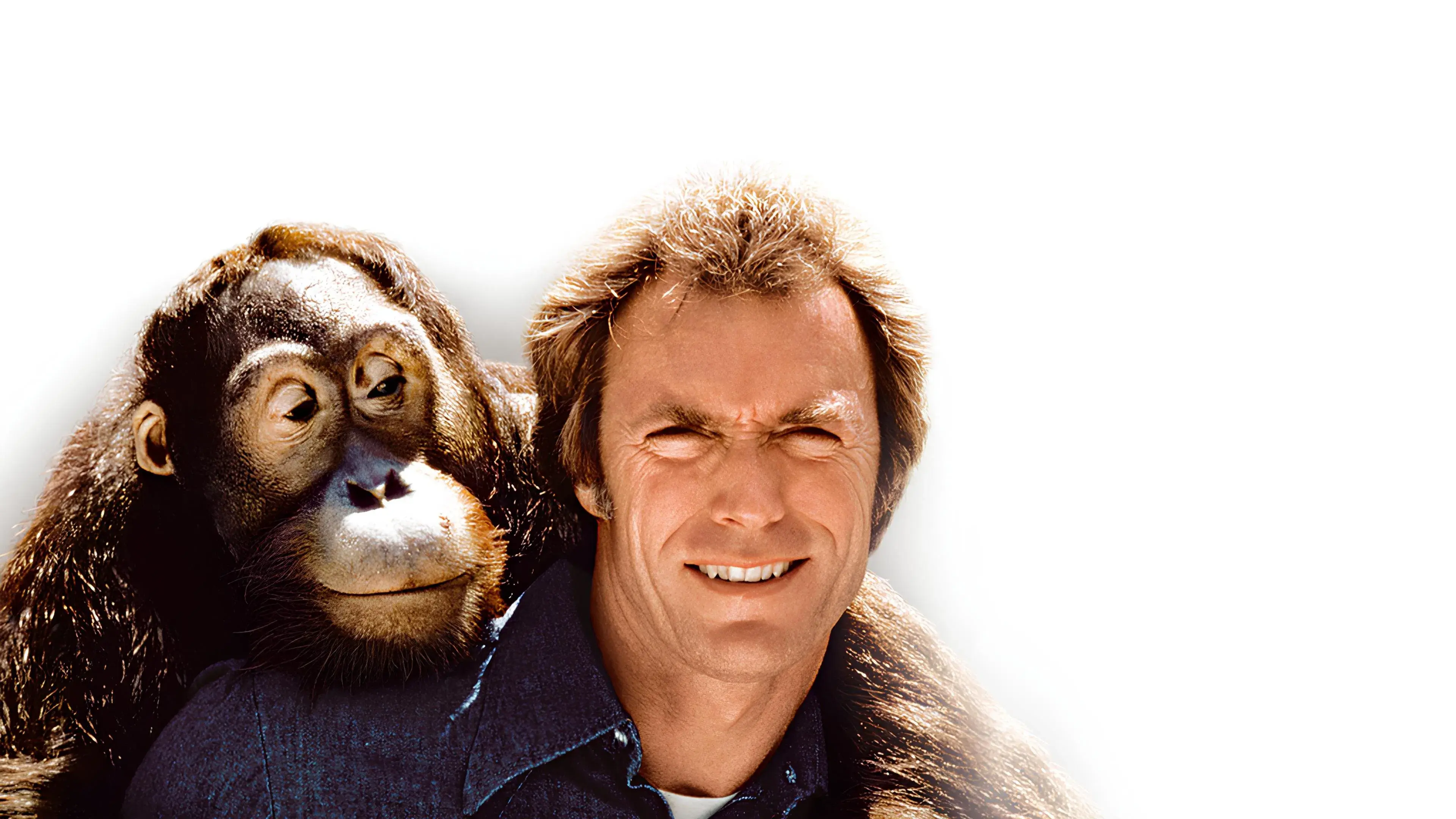 Punhos de Aço: Um Lutador de Rua