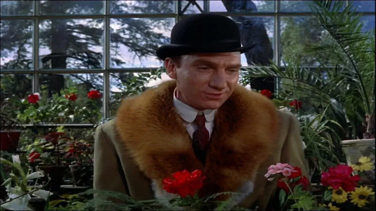 ¡Adiós, Mimí Pompón!