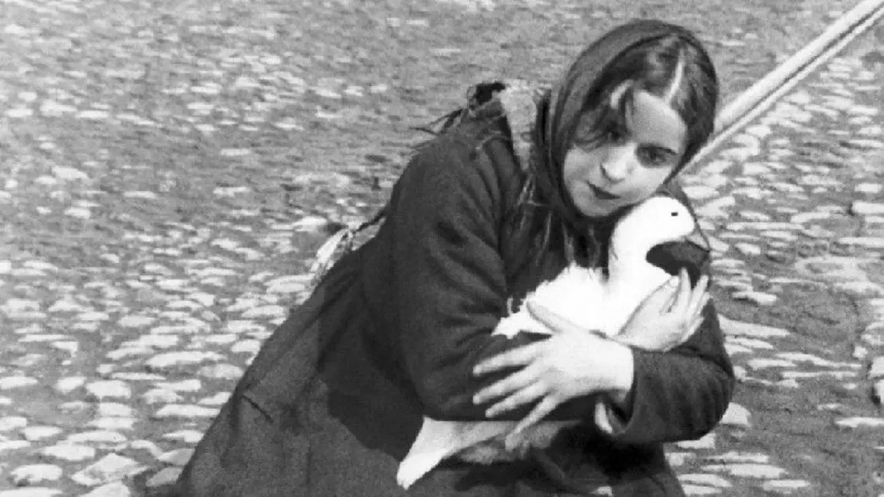 A Casa na Praça Trubnaia