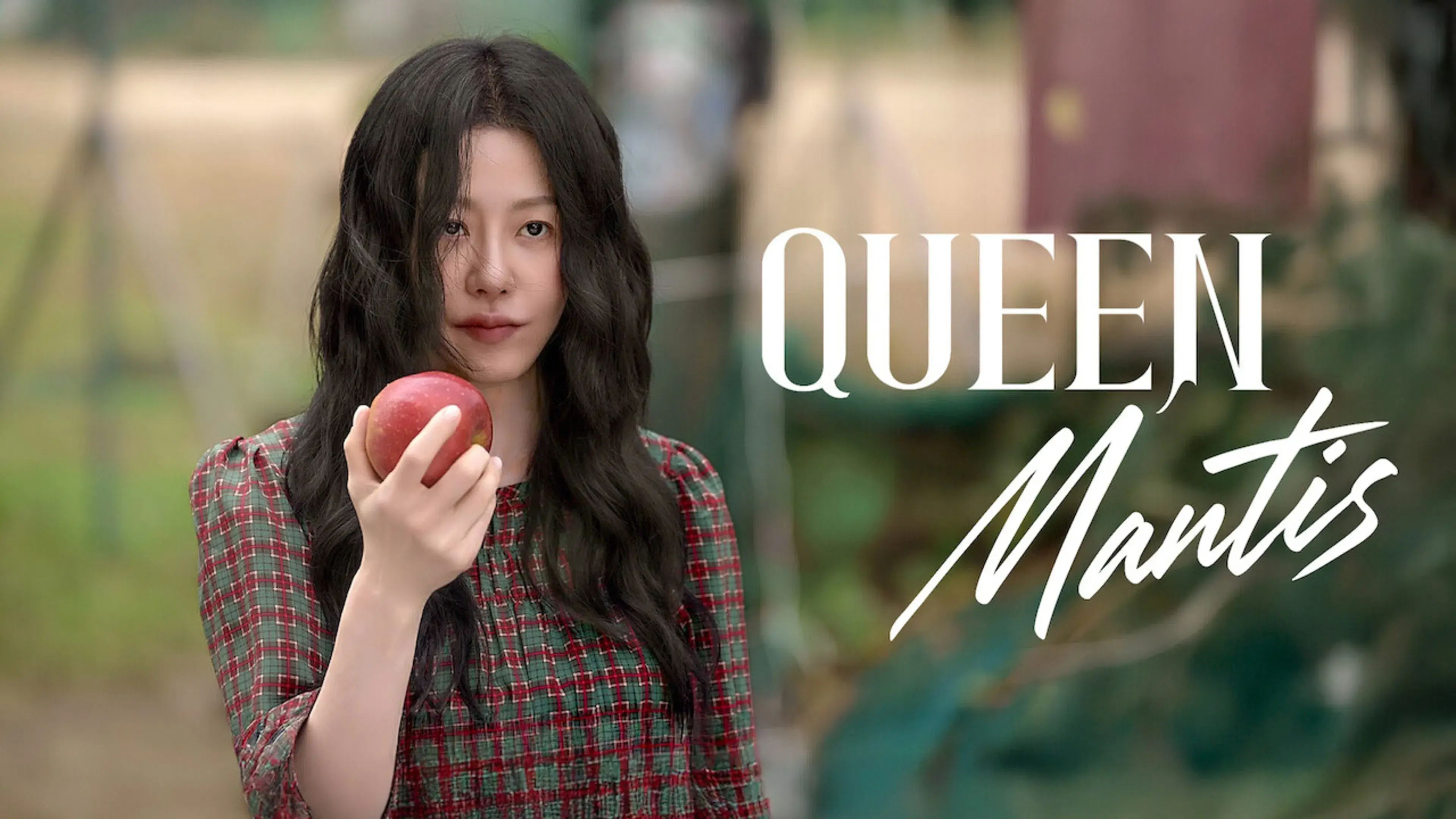 Todos os Crimes da Louva-a-Deus