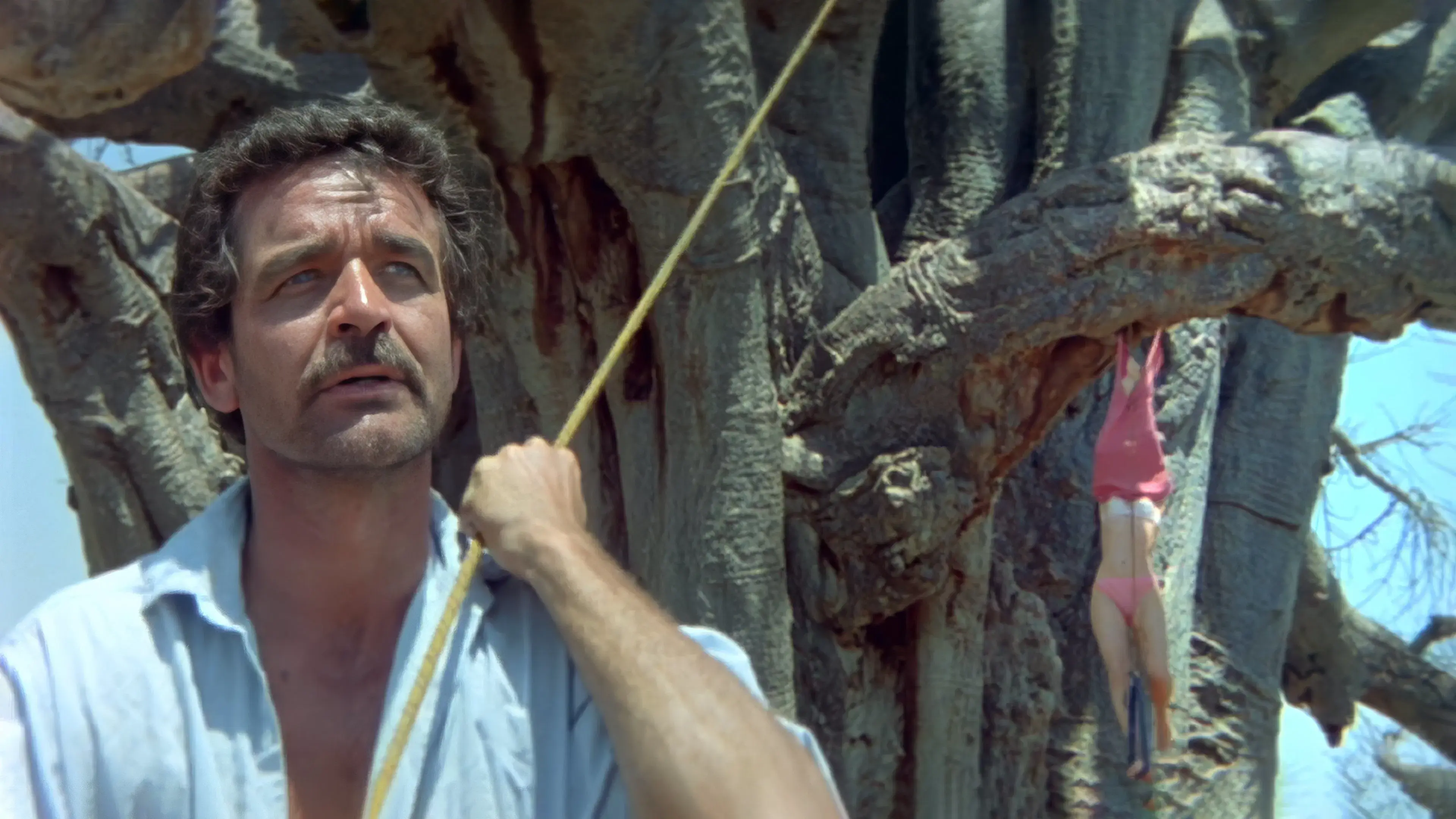 Os Deuses Devem Estar Loucos 2