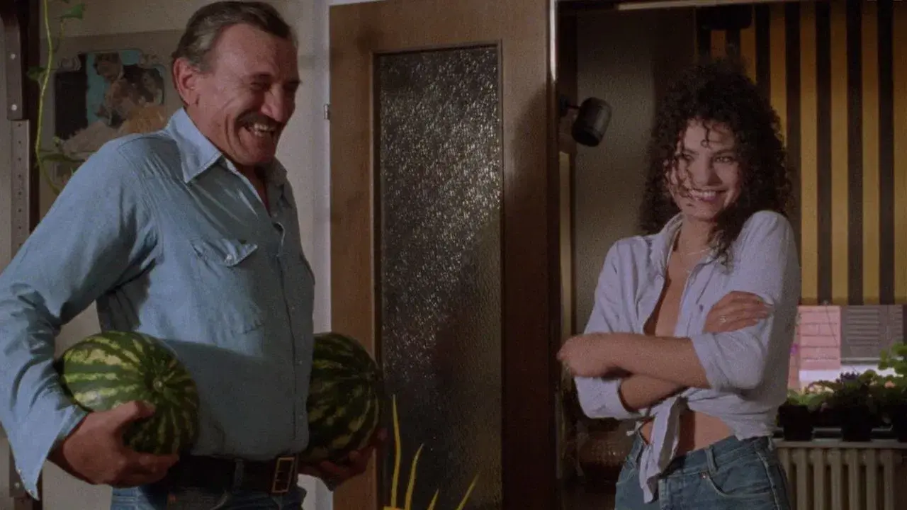 Жикина династија