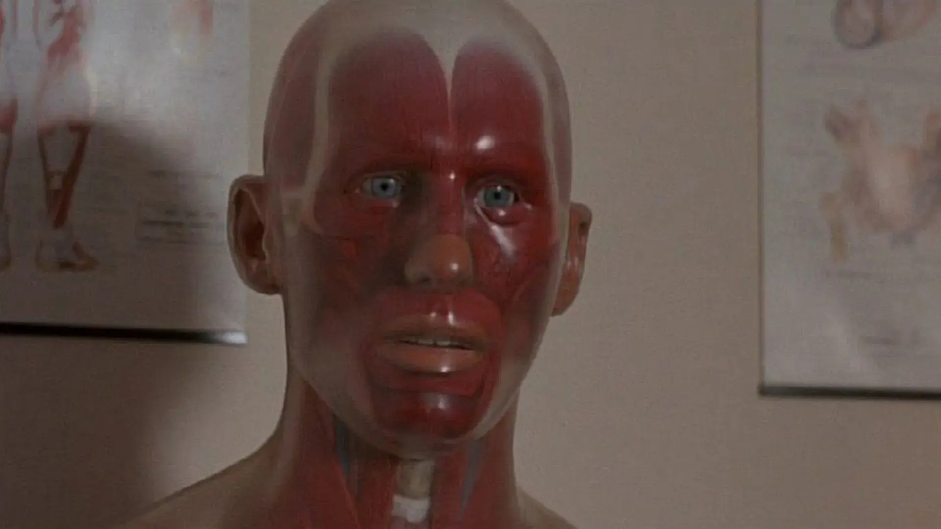 Pin: Uma Jornada Além da Loucura