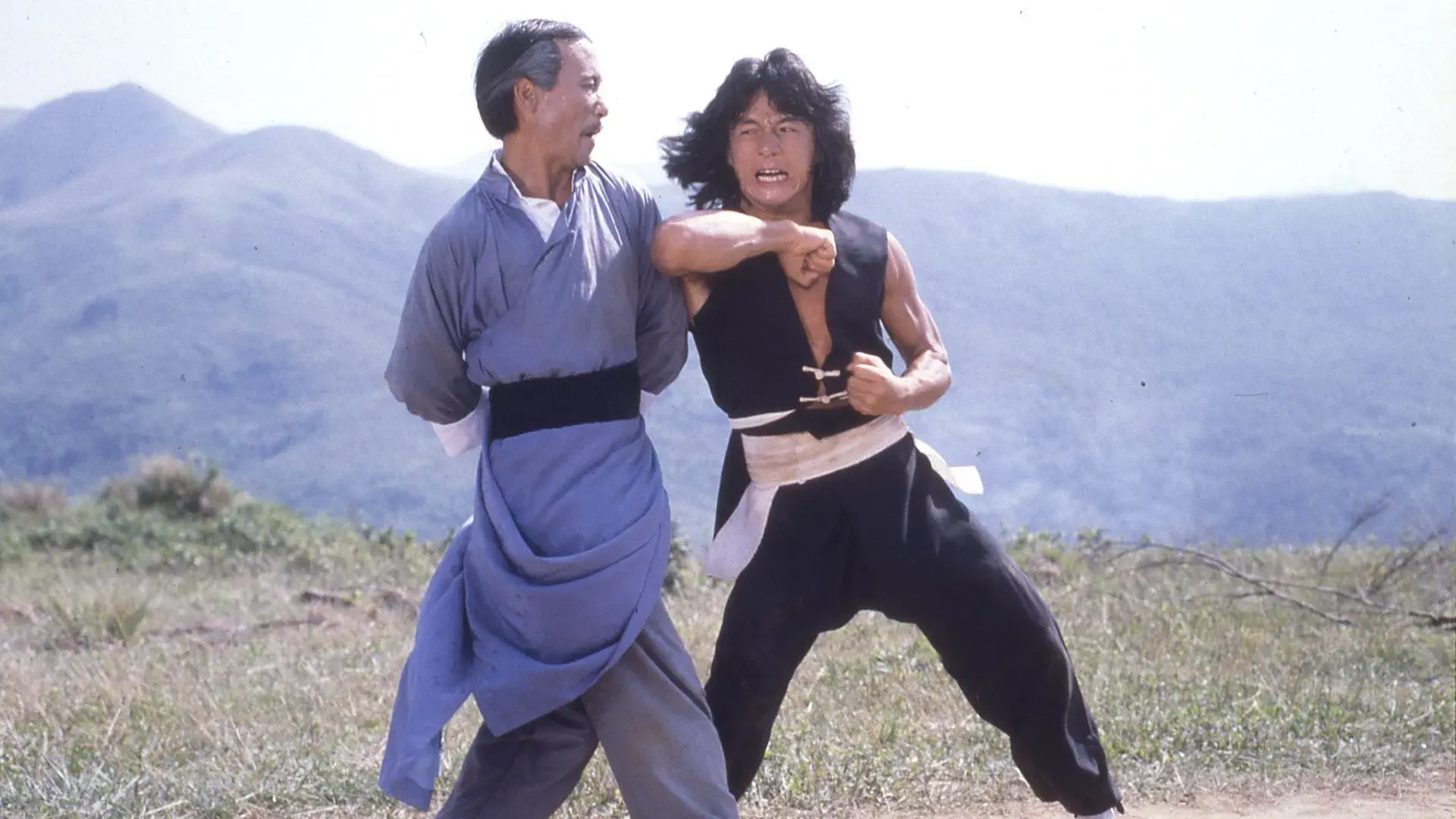 O Jovem Mestre do Kung Fu