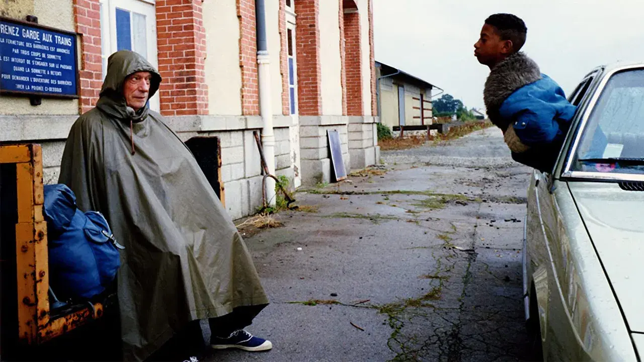 IP5 - A Ilha dos Paquidermes