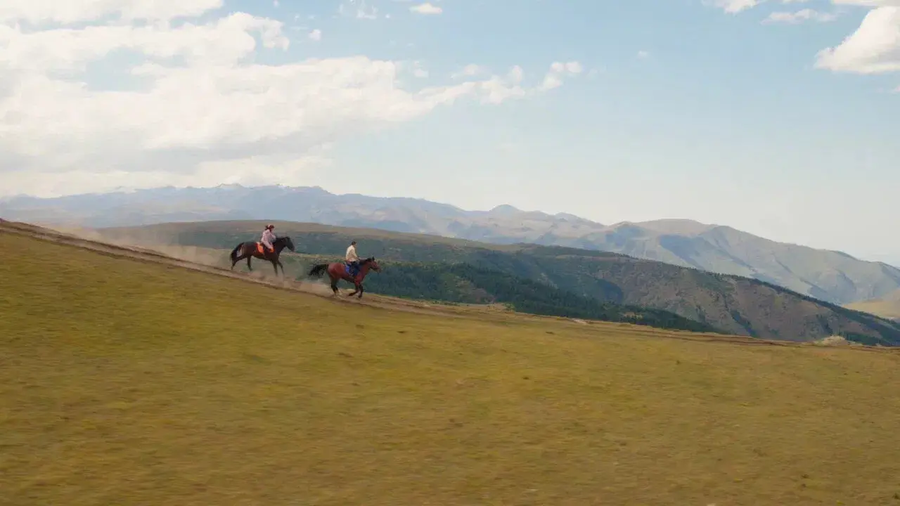 Мой любимый чемпион