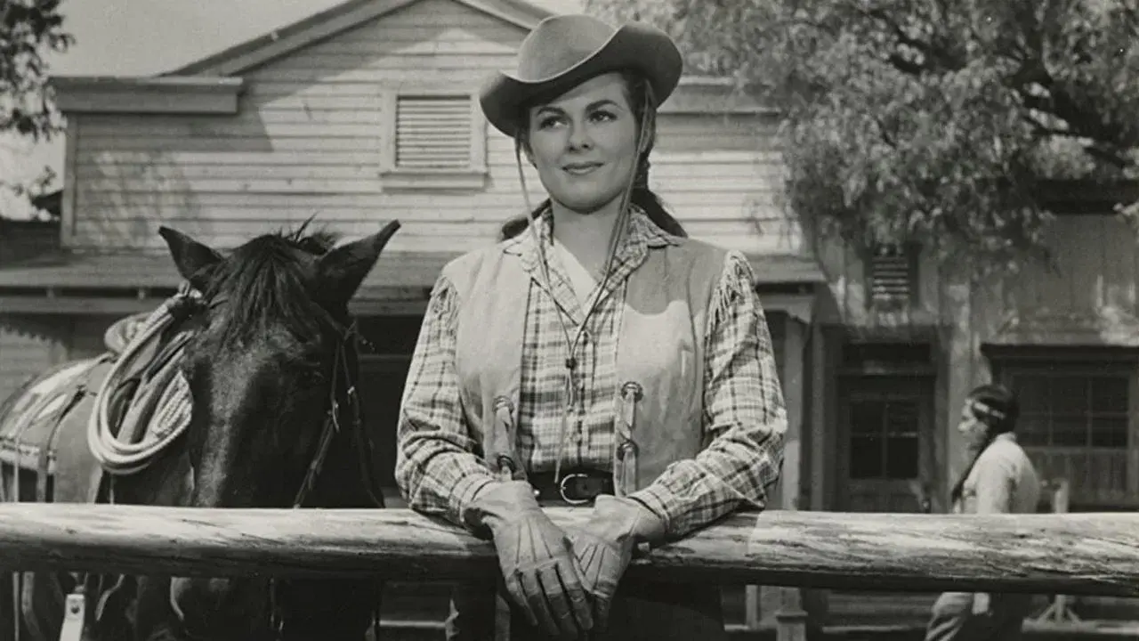 Quando as Pistolas Decidem