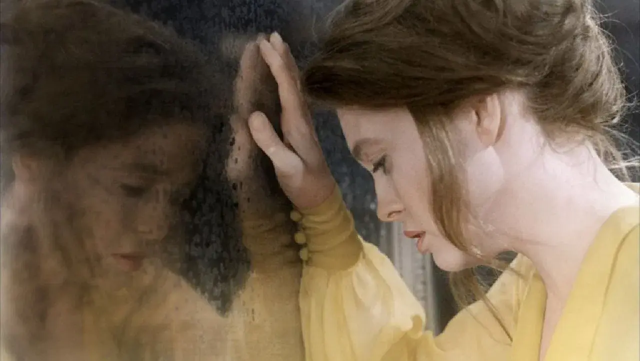 Uma Casa Sob as Árvores