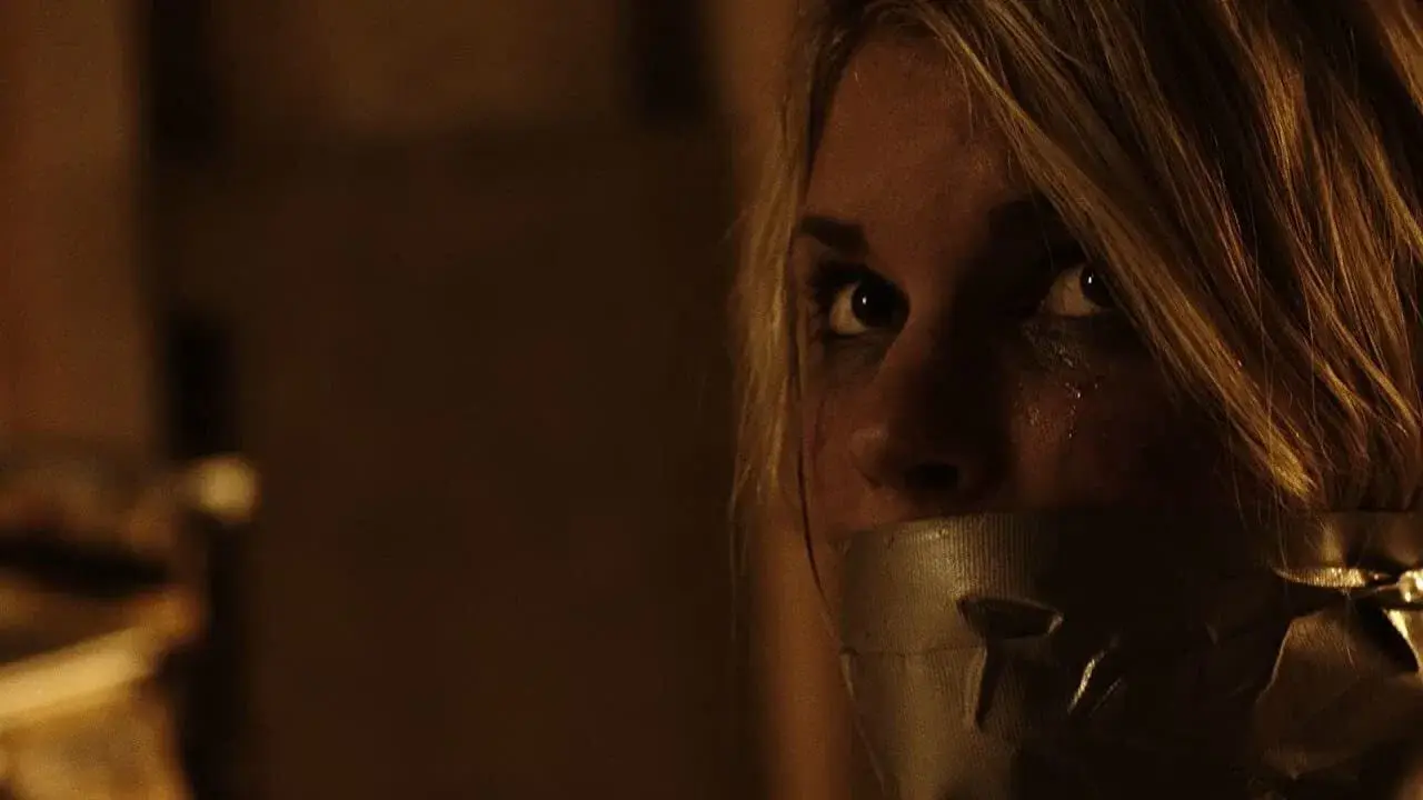 Johan Falk: Organização Karajan