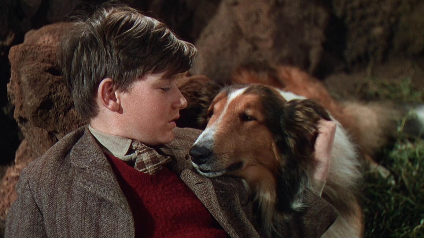 Lassie: A Força do Coração