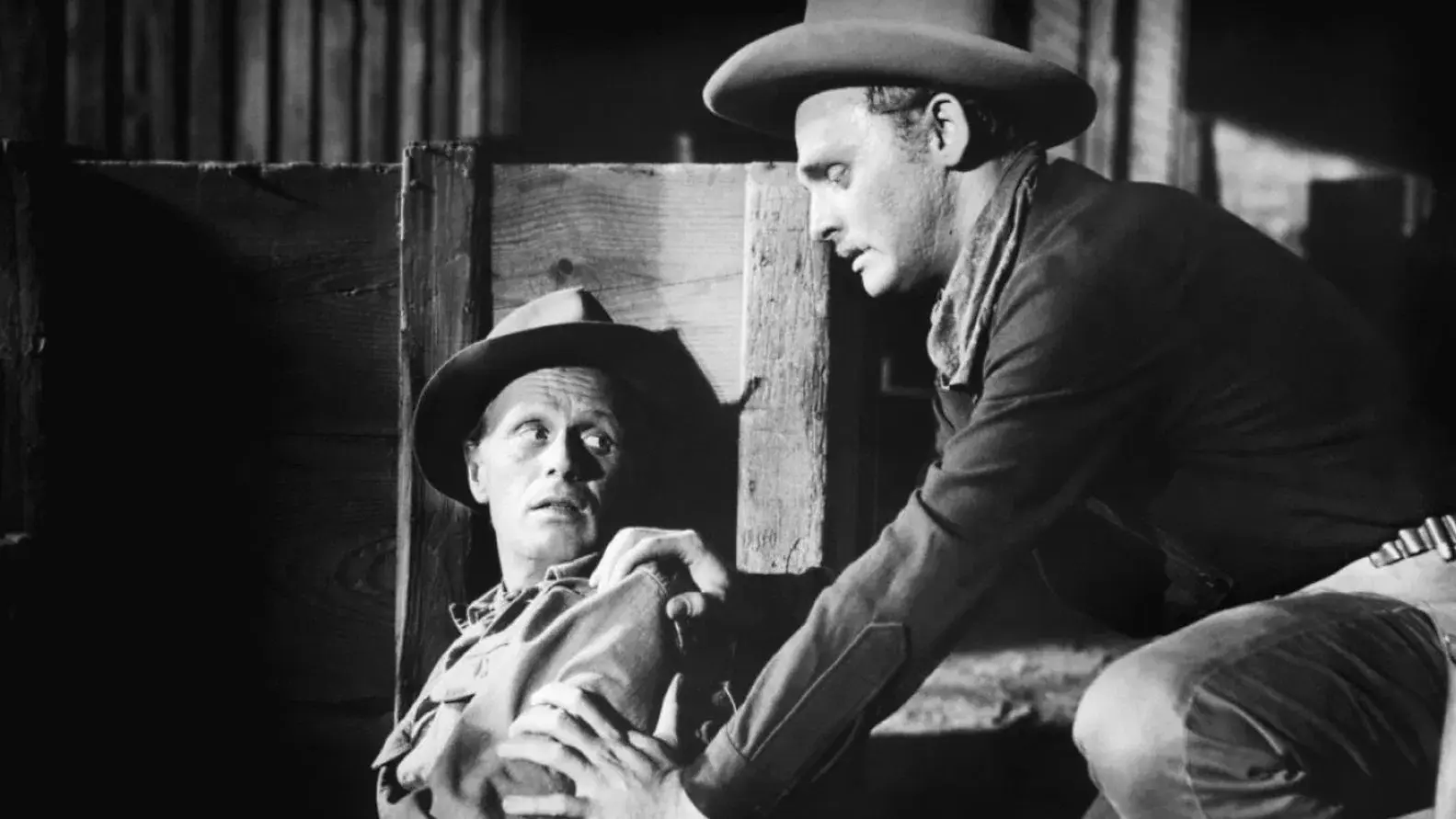 Minha Vontade é Lei