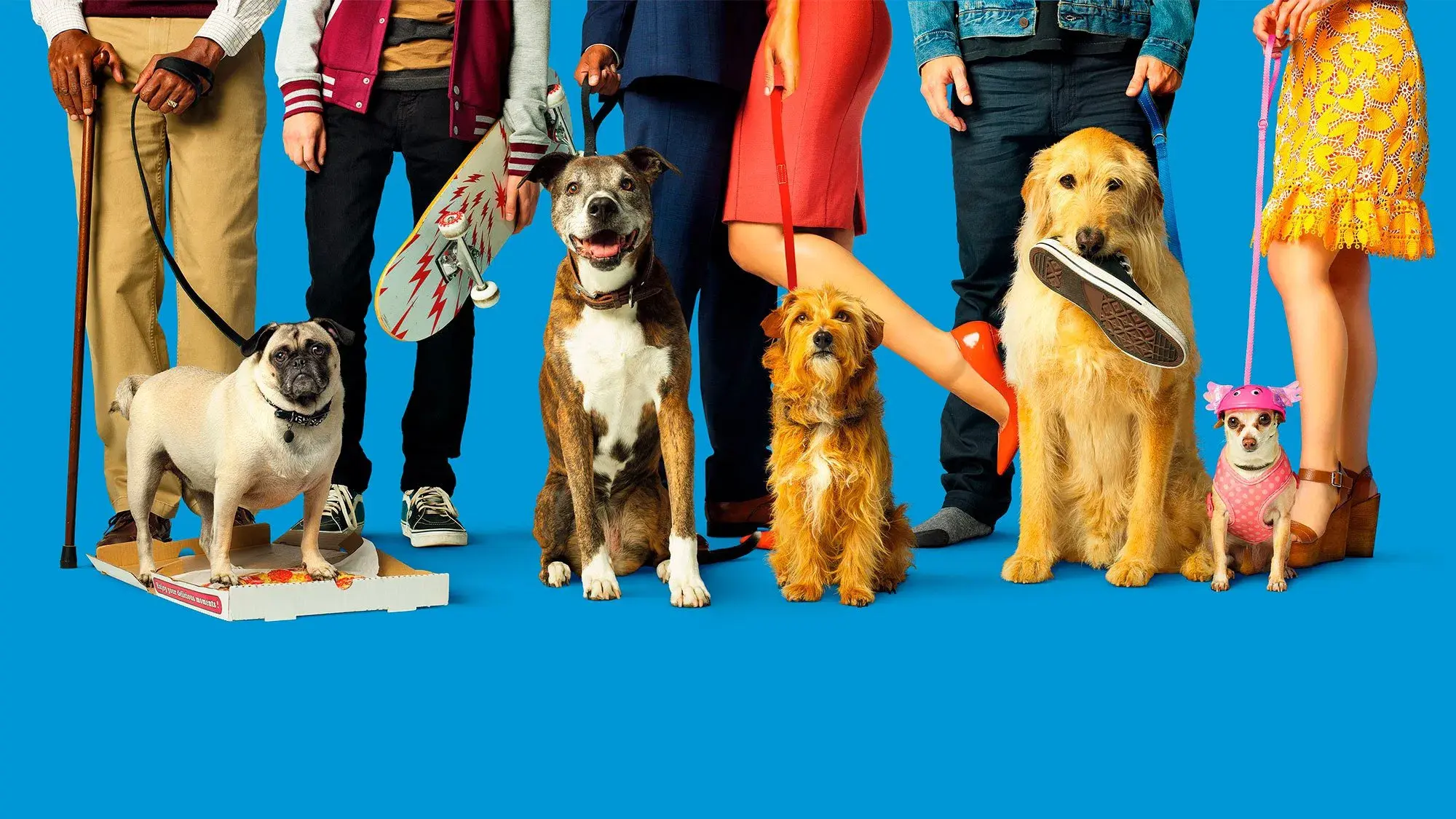 Nossa Vida com Cães