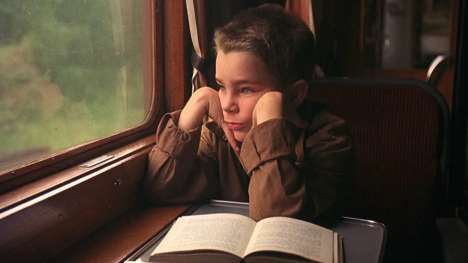 Minha Vida de Cachorro