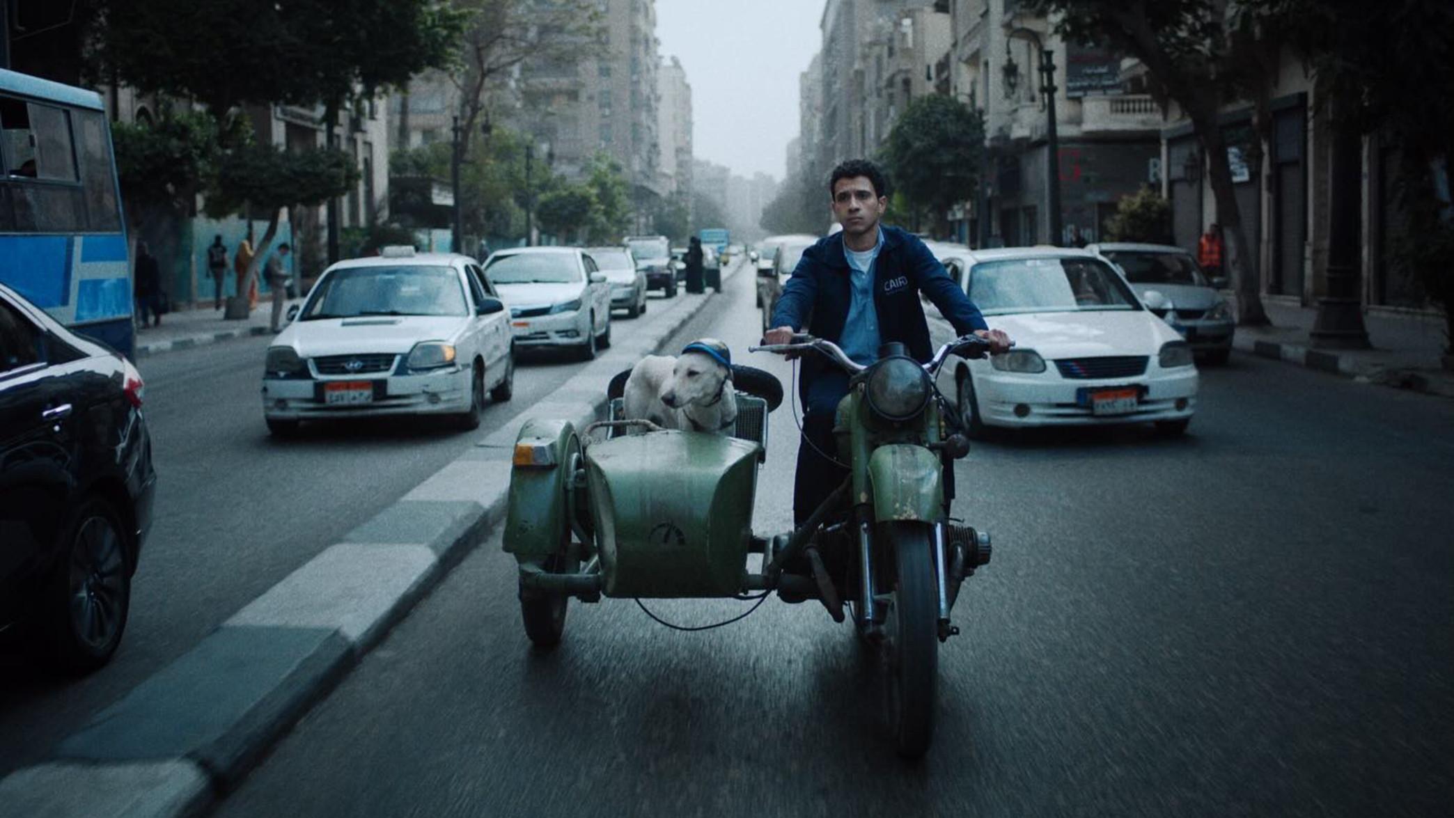 البحث عن منفذ لخروج السيد رامبو