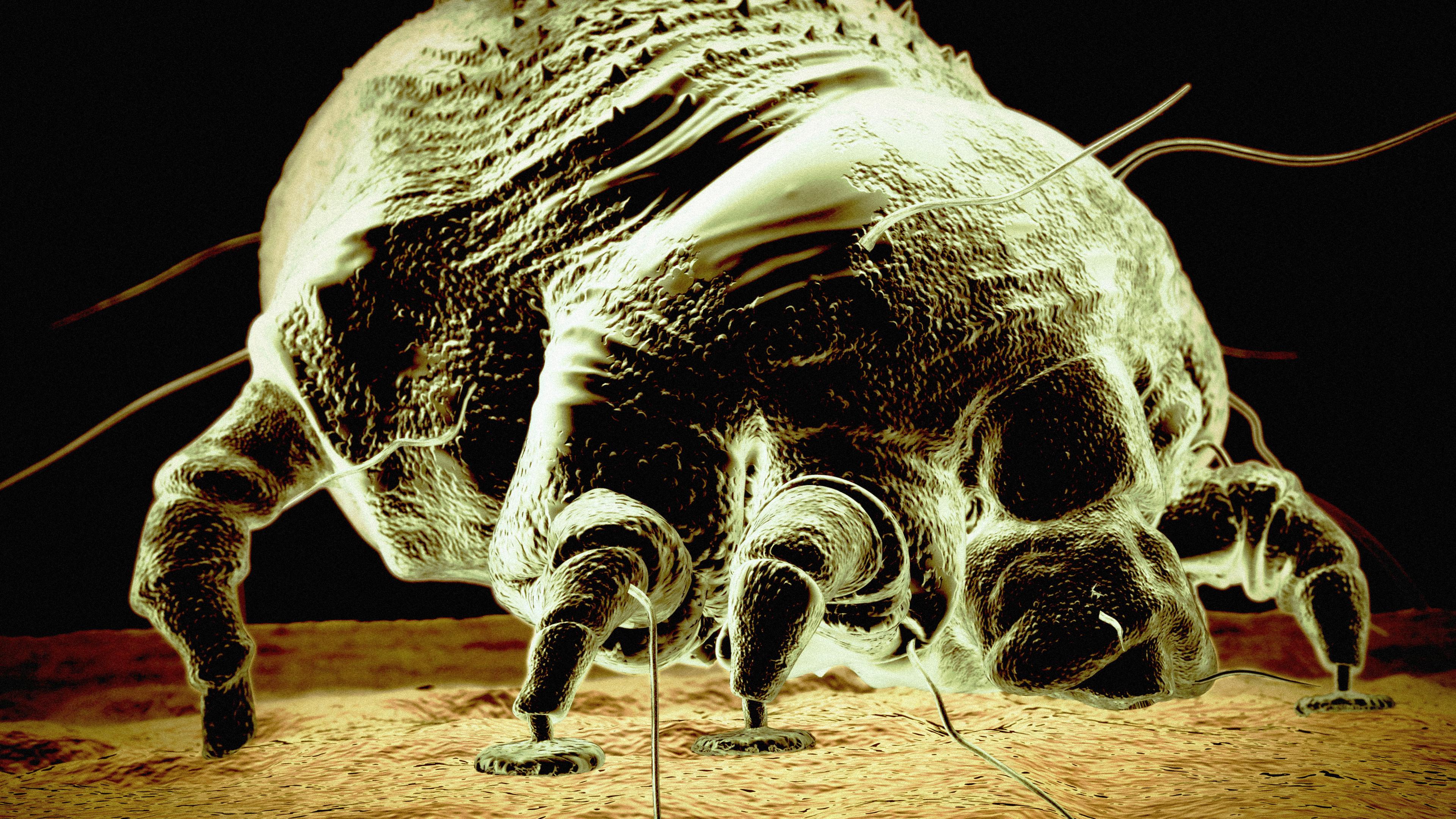 Parasitas Assassinos