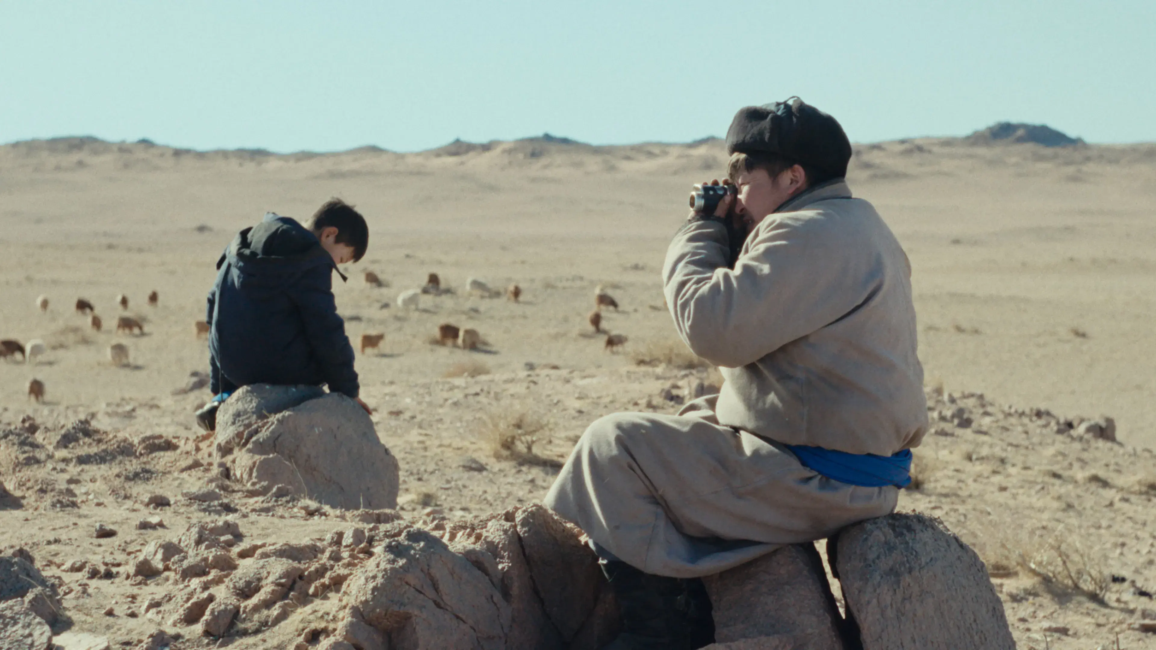 Чоно үүр шөнөөр ирдэг