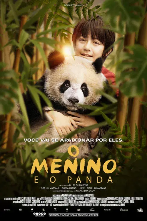 O Menino e o Panda