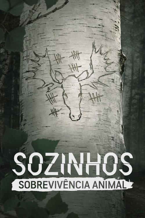 Sozinhos: Sobrevivência Animal