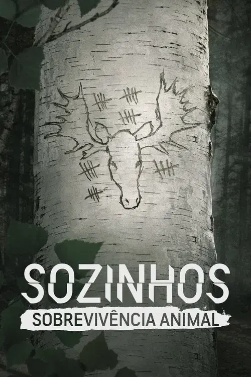 Sozinhos: Sobrevivência Animal