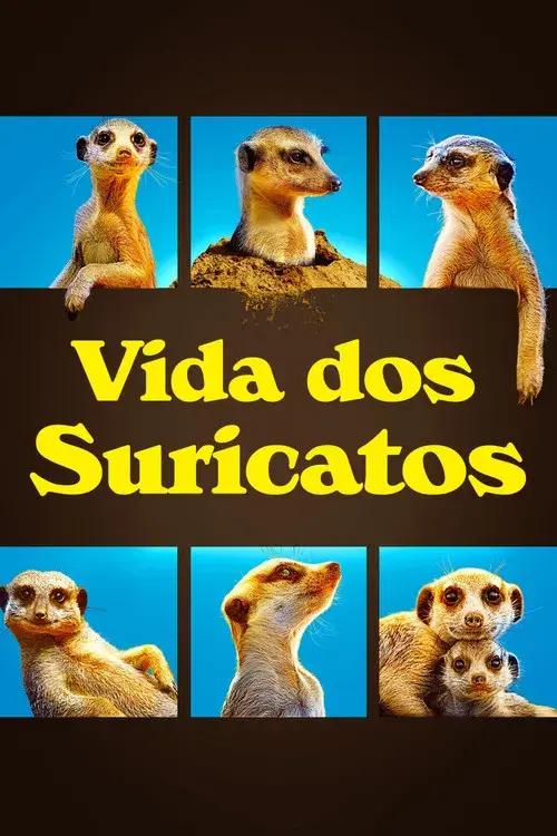 Vida dos Suricatos