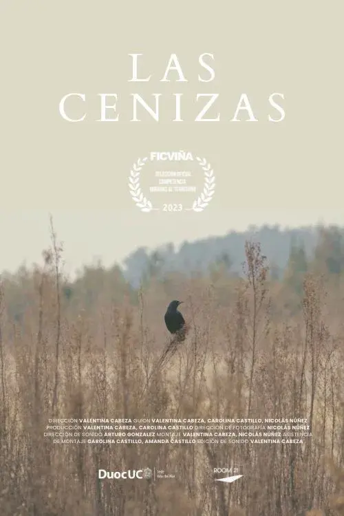 Las Cenizas