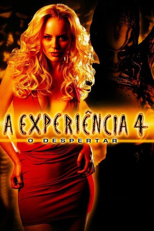 A Experiência 4 - O Despertar