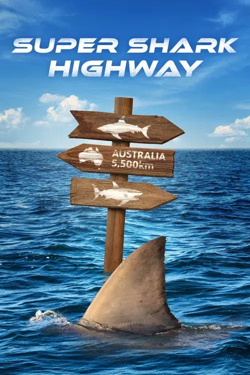Super Shark Highway