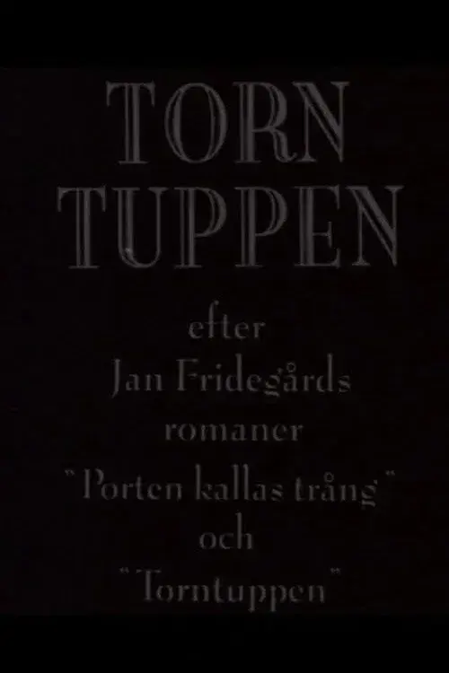Torntuppen