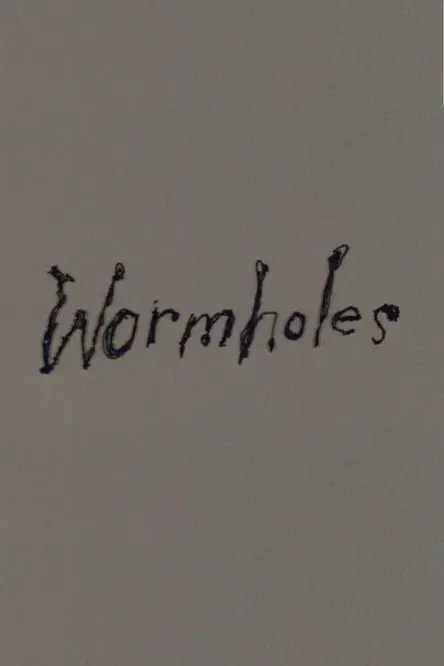 Wormholes