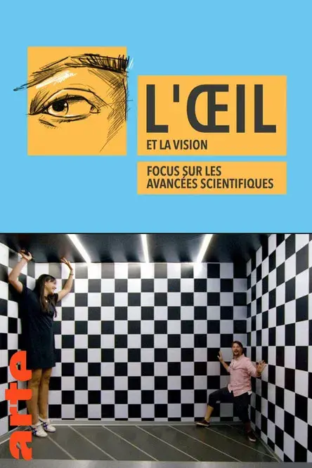 Das Auge - Forschung sehen