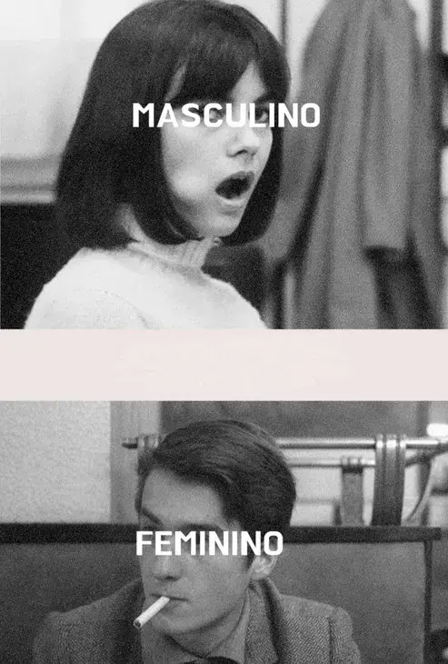 Masculino - Feminino