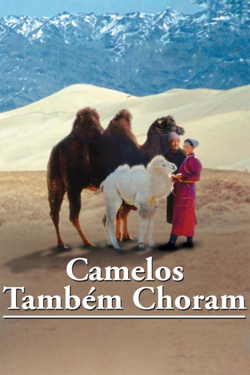 Camelos Também Choram