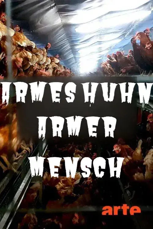 Armes Huhn – armer Mensch