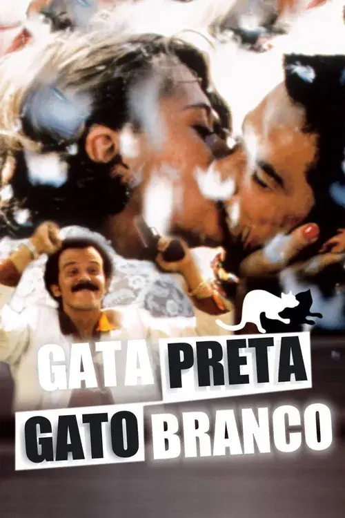 Gata Preta, Gato Branco