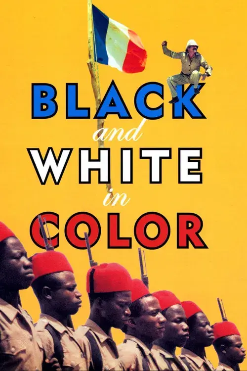 Preto e Branco em Cores