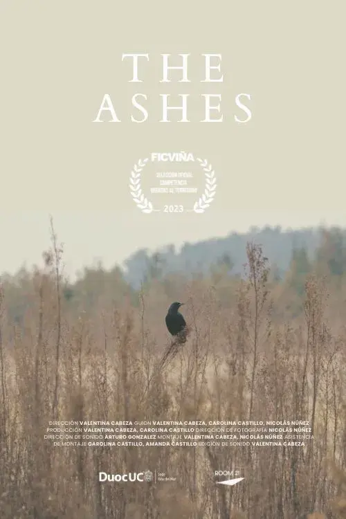 The Ashes