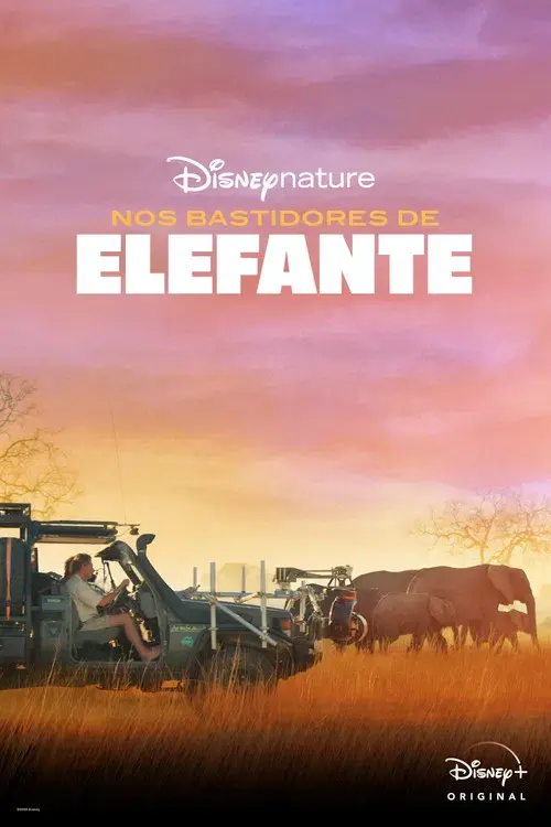 Nos Bastidores de Elefante