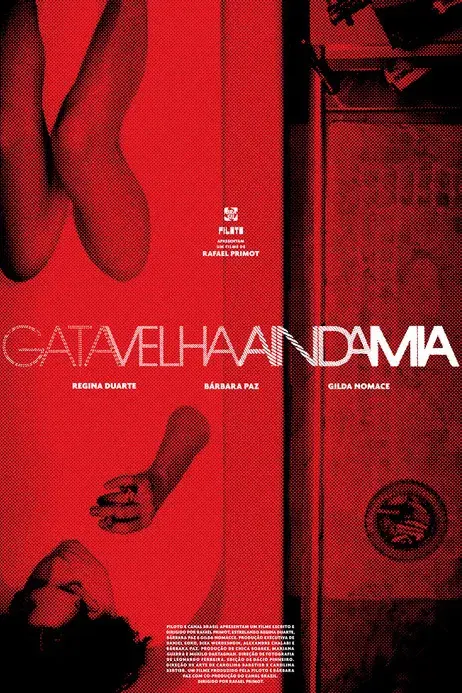 Gata Velha Ainda Mia