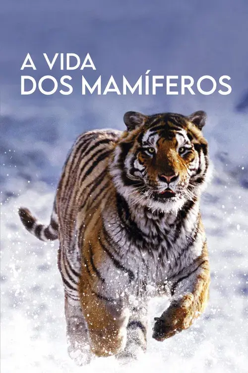 A Vida dos Mamíferos