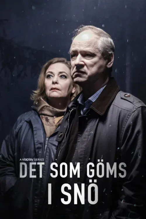 Det som göms i snö