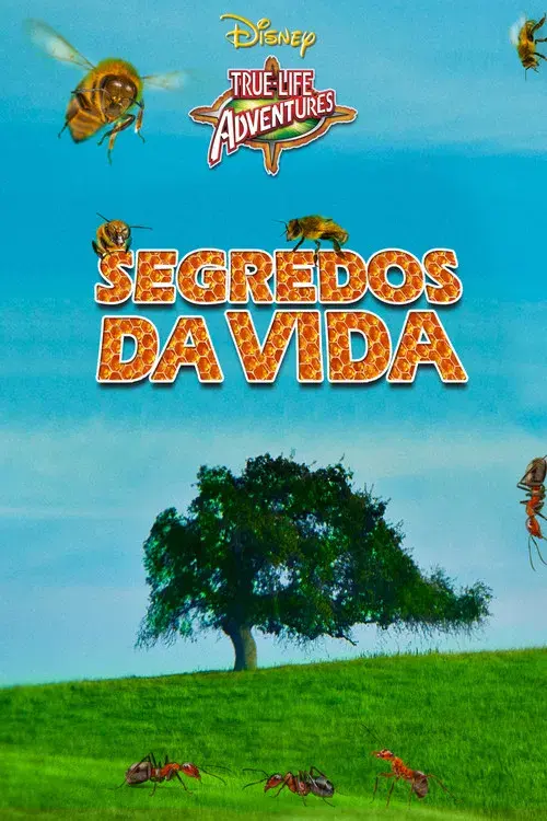 Segredos da Vida
