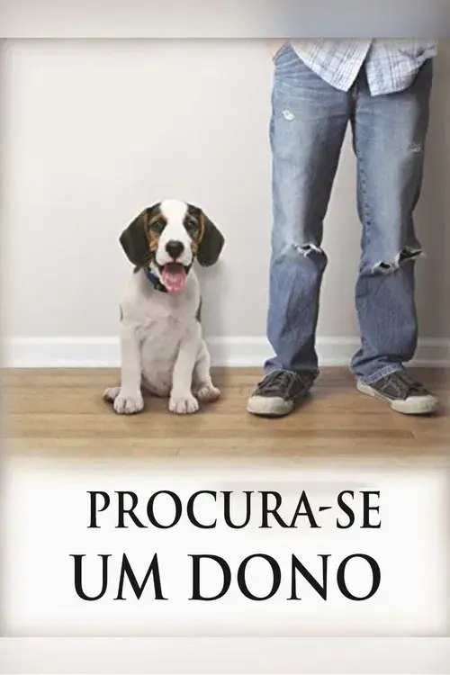 Procura-se um dono