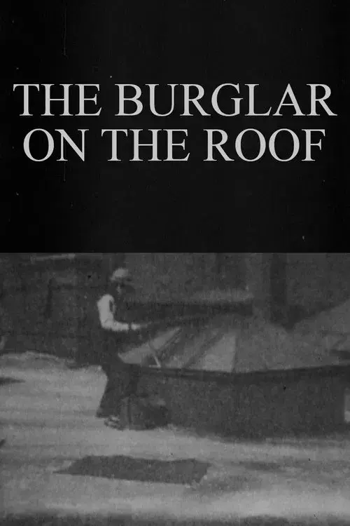 The Burglar on the Roof