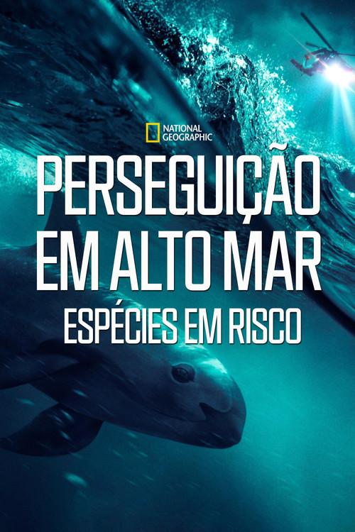 Perseguição em Alto Mar - Espécies em Risco