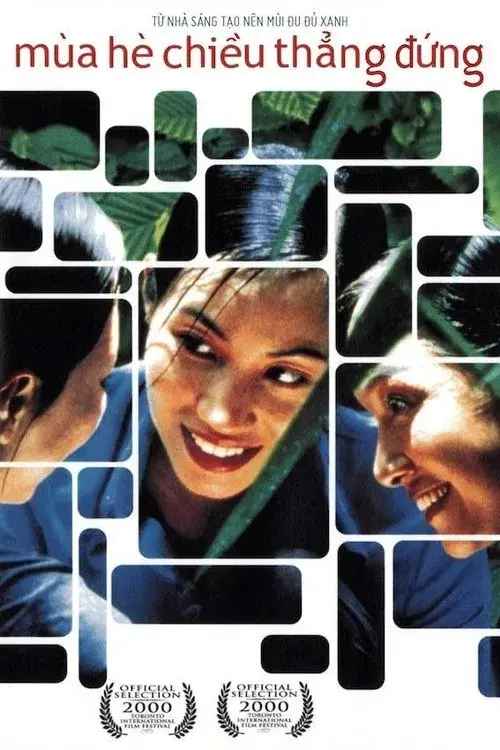 As Luzes de um Verão