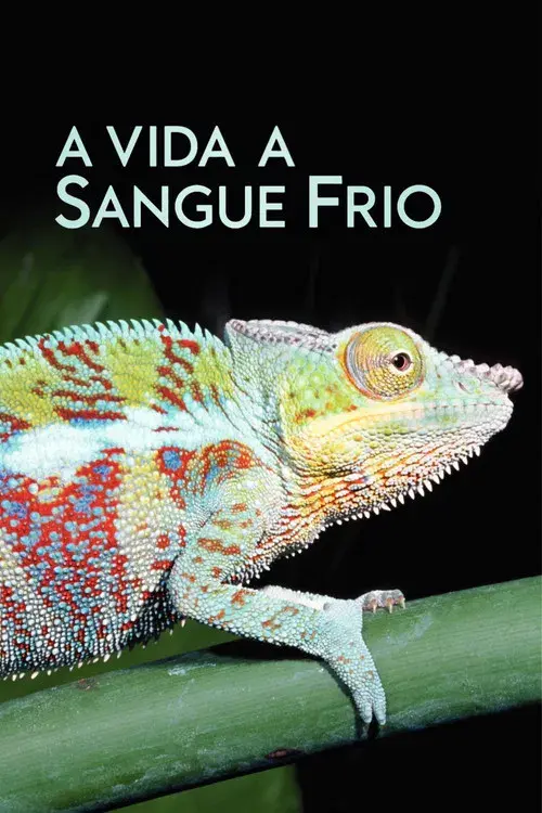 A Vida a Sangue Frio