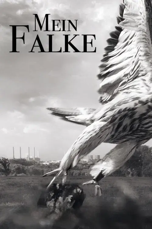 Mein Falke