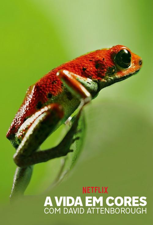 A Vida em Cores com David Attenborough